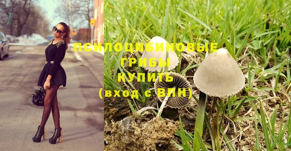 мяу мяу мука Баксан