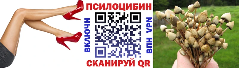 кракен ссылки  Макарьев  Псилоцибиновые грибы мицелий 